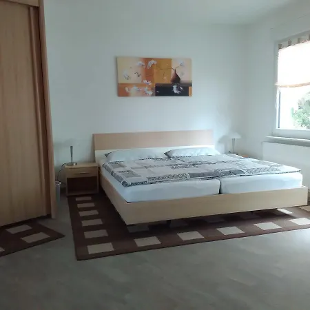 Apartment Ferienwohnung Menzel